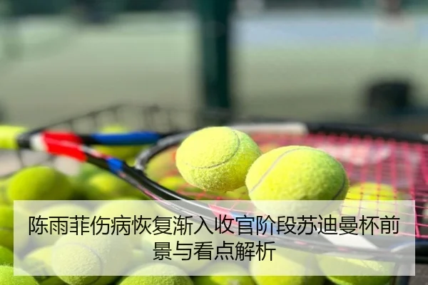 陈雨菲伤病恢复渐入收官阶段苏迪曼杯前景与看点解析